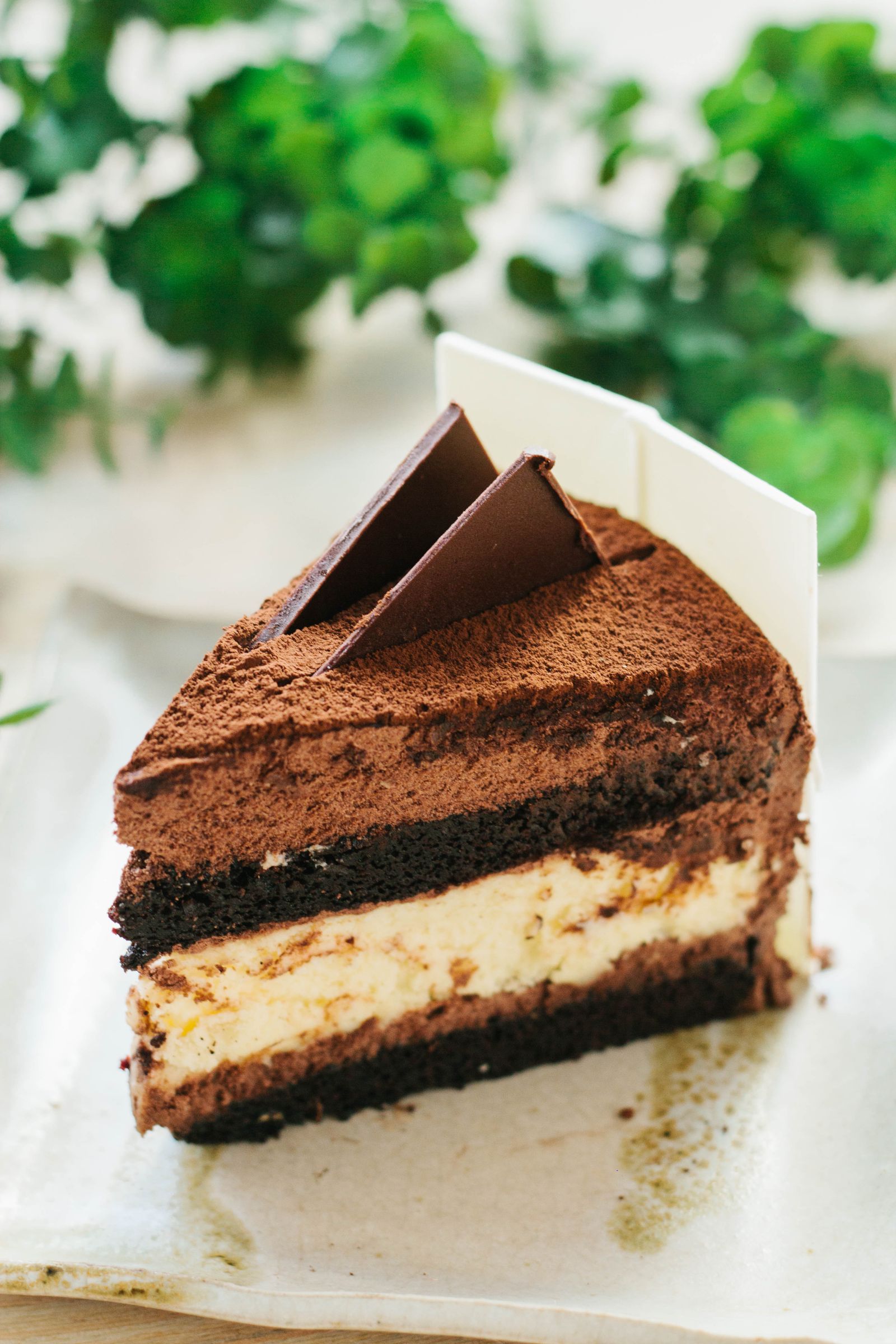 Fatia de torta mousse em camadas de chocolate e creme